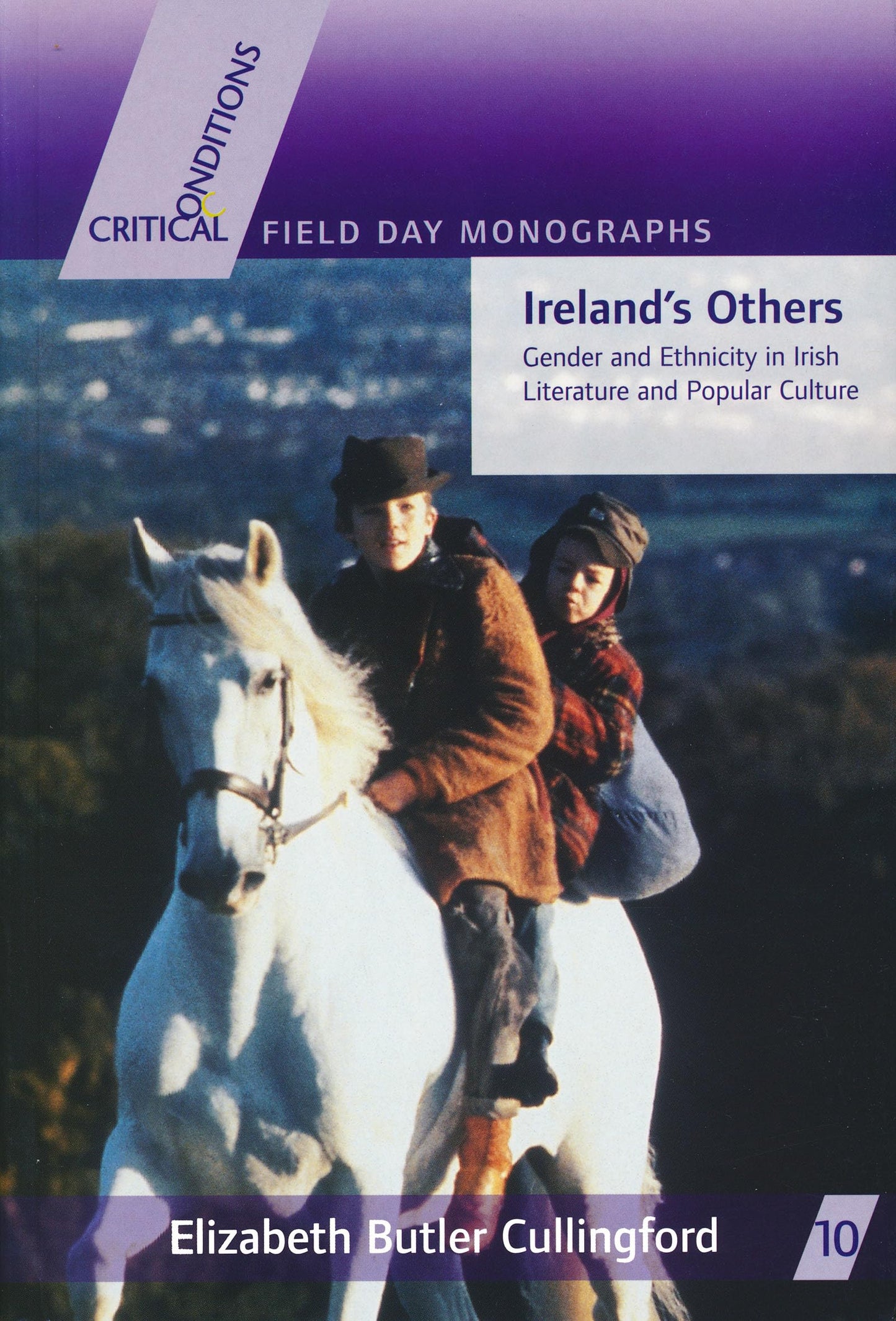 Ireland's Others: Ethnicity and Gender in Irish Literature and Popular Culture (Critical Conditions: Field Day Essays and Monographs)