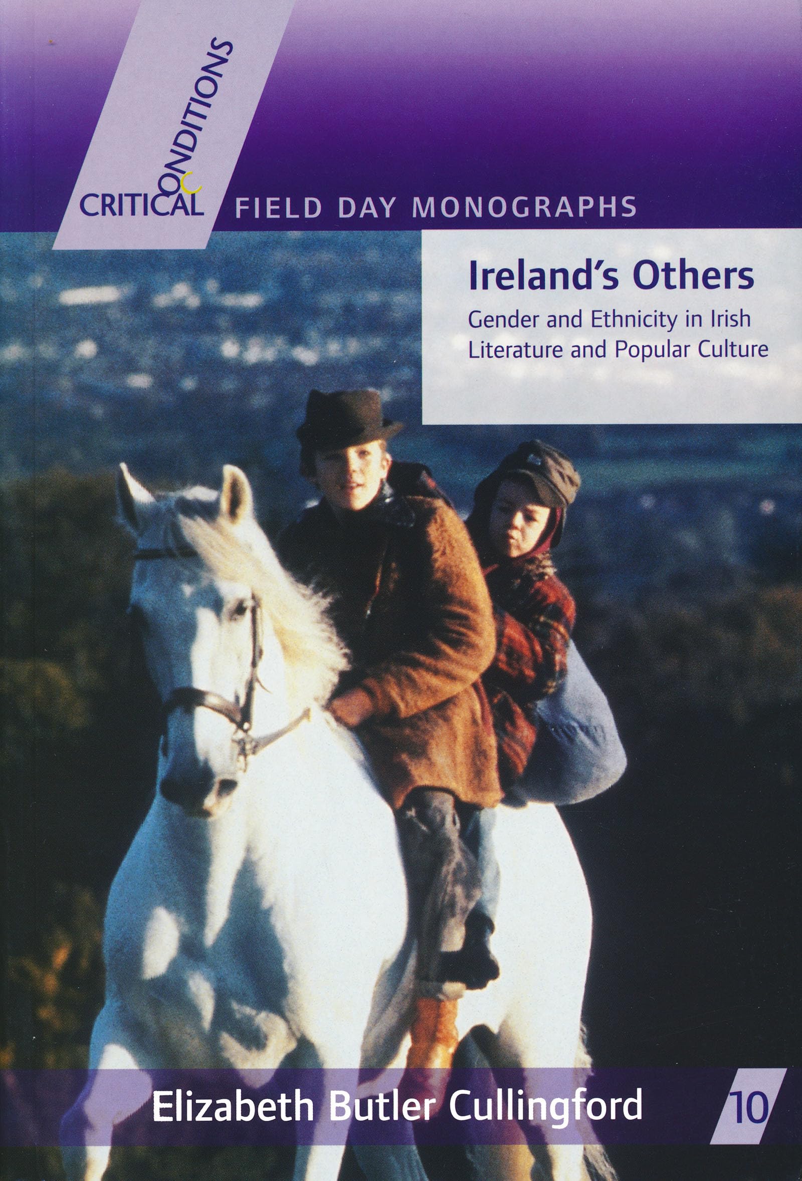 Ireland's Others: Ethnicity and Gender in Irish Literature and Popular Culture (Critical Conditions: Field Day Essays and Monographs)