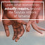 Loving Bravely: Twenty Lessons of Self-Discovery to Help You Get the Love You Want
