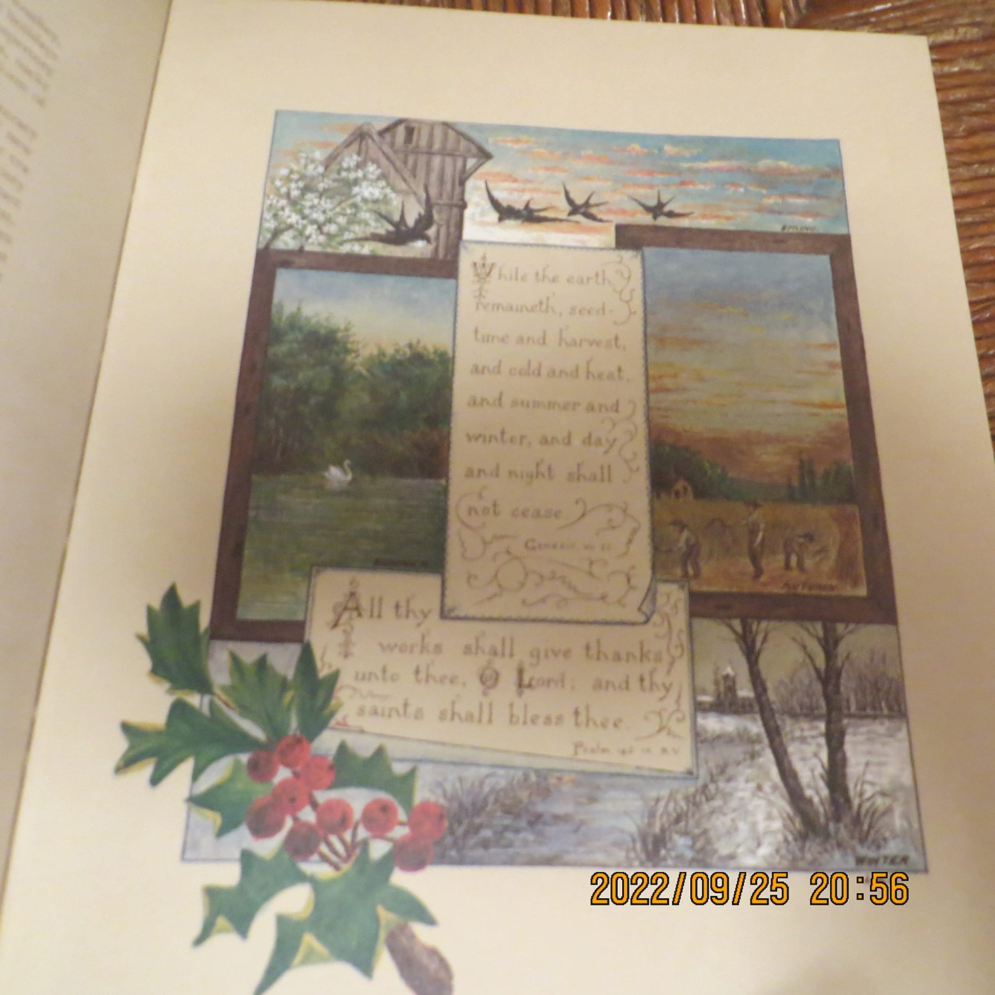 The Seasons by Lawrence, Louis (1981) Hardcover