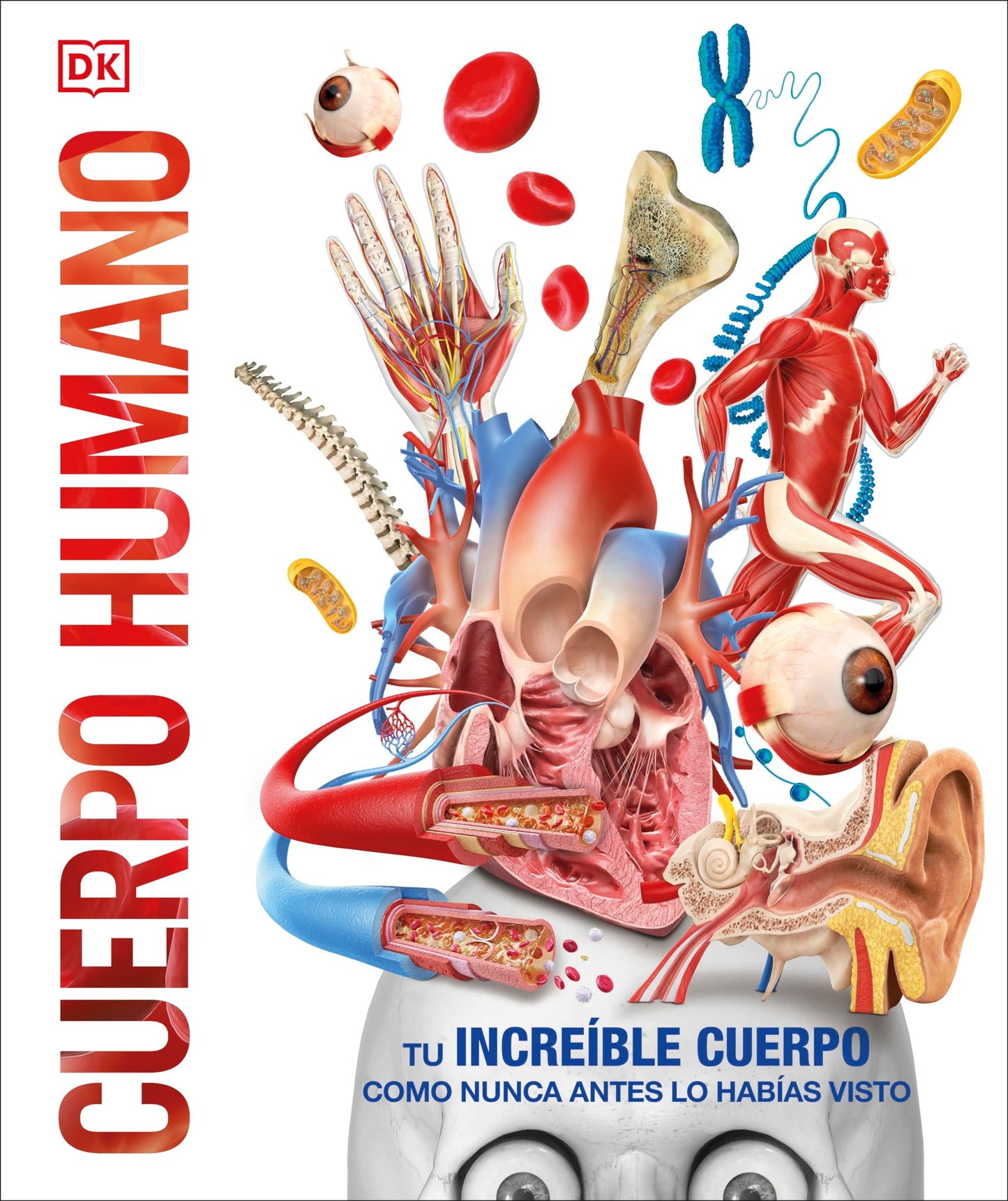 Cuerpo humano (Knowledge Encyclopedia Human Body!) (DK Knowledge Encyclopedias) (Spanish Edition)