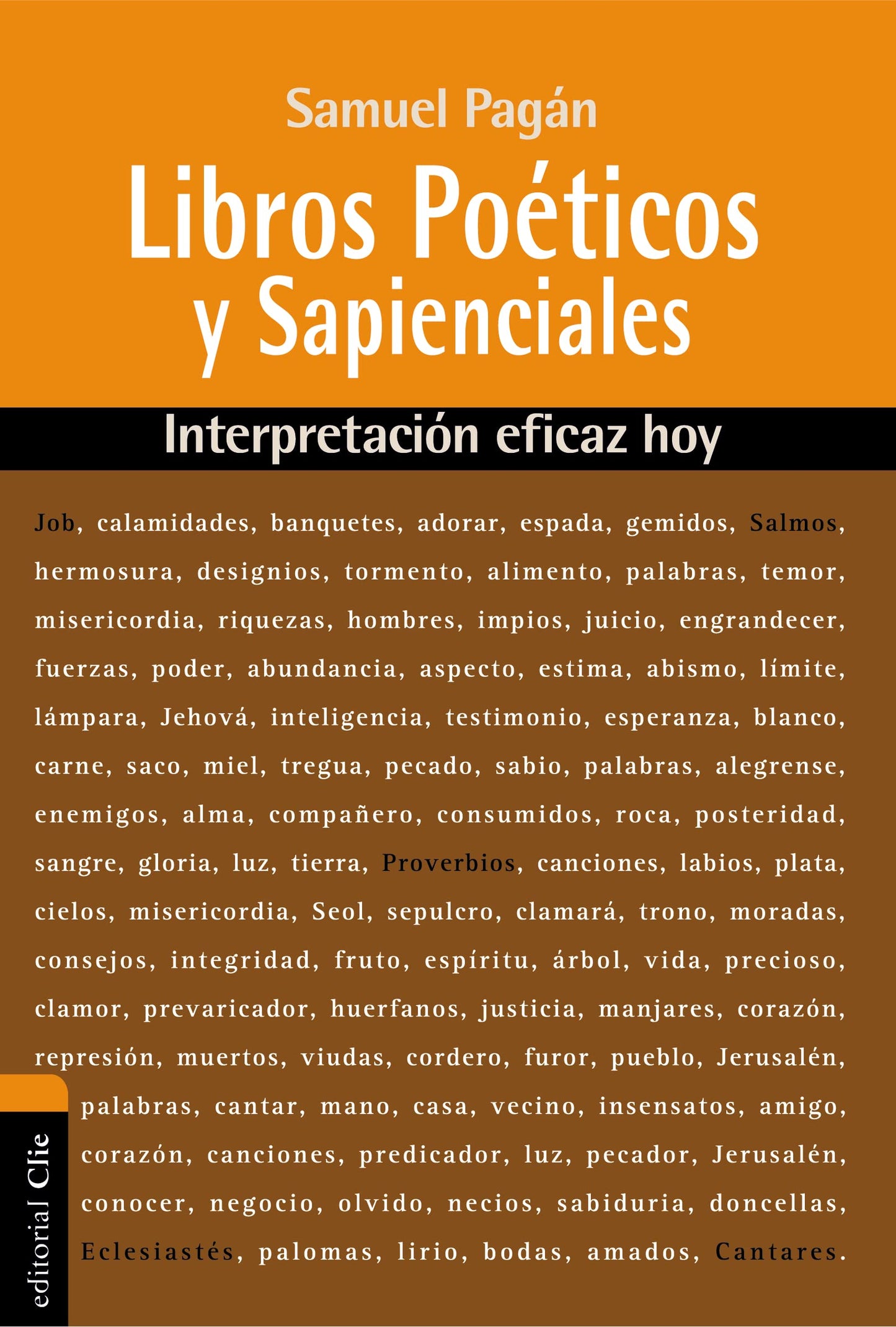 Libros Poéticos y Sapienciales: Interpretación eficaz hoy (Spanish Edition)
