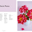 Crepe Paper Blooms, Bugs and Butterflies: Over 20 colourful paper projects from Miss Petal & Bloom