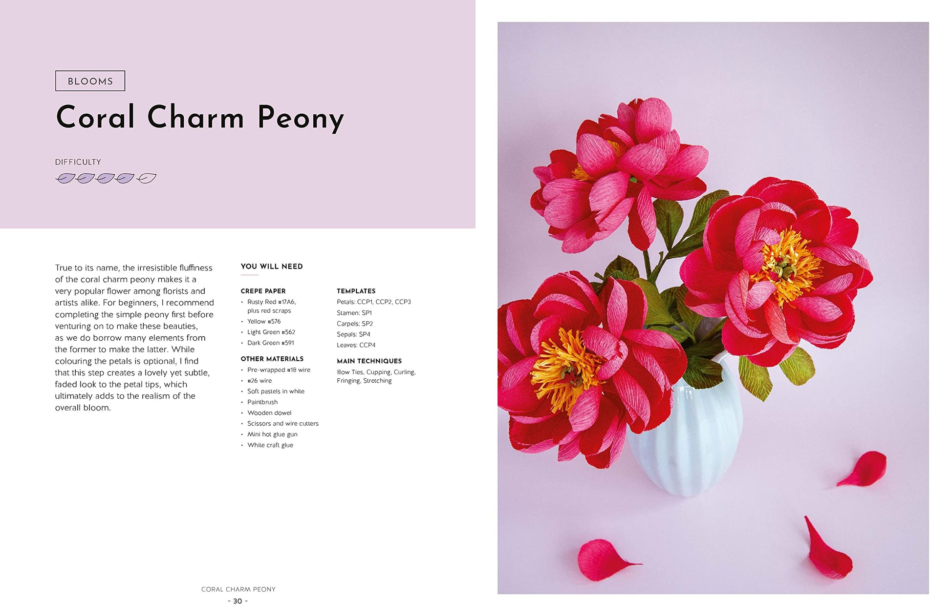 Crepe Paper Blooms, Bugs and Butterflies: Over 20 colourful paper projects from Miss Petal & Bloom