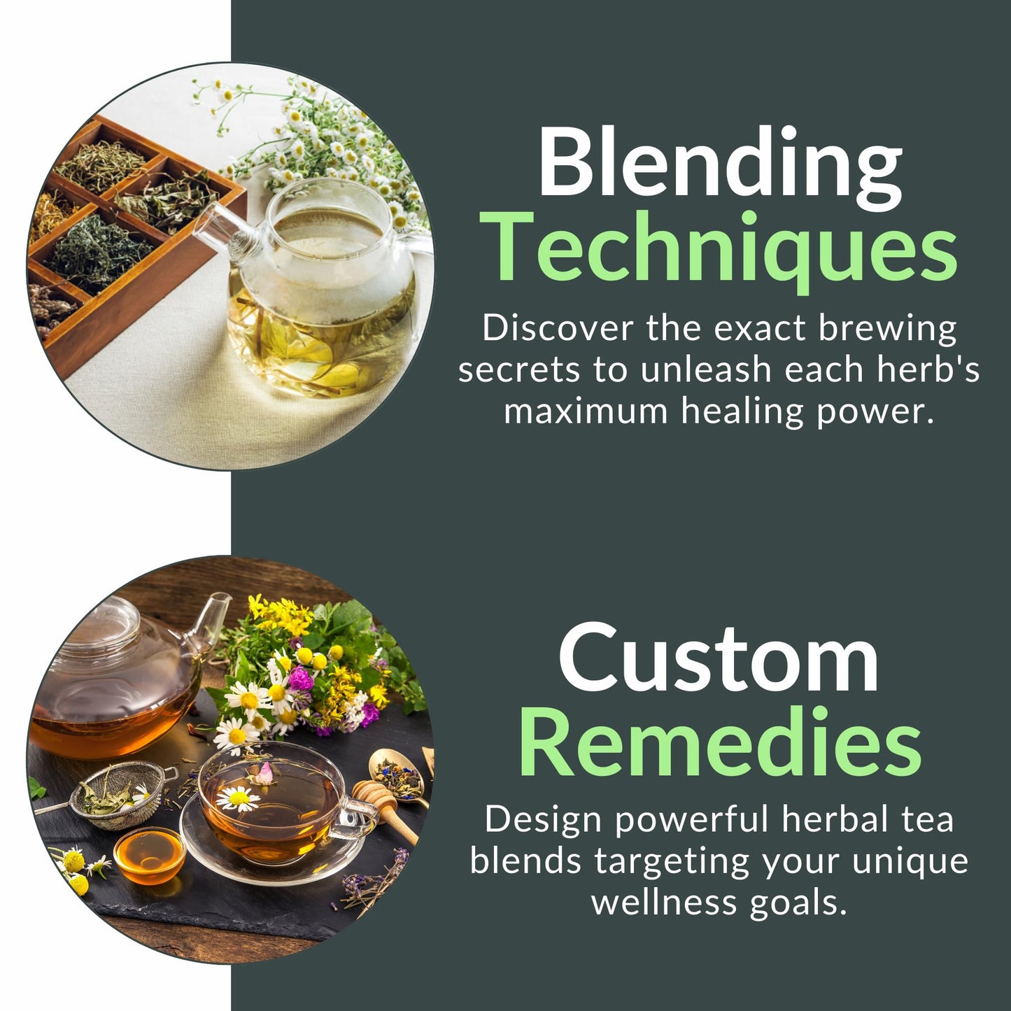 The Healing Herbal Teas Beginners' Guide [All-in-1]: Everything on How to Brew, Enjoy, & Benefit from Therapeutic Brews. Featuring 100 Recipes for Stronger Immunity & Lifelong Vitality