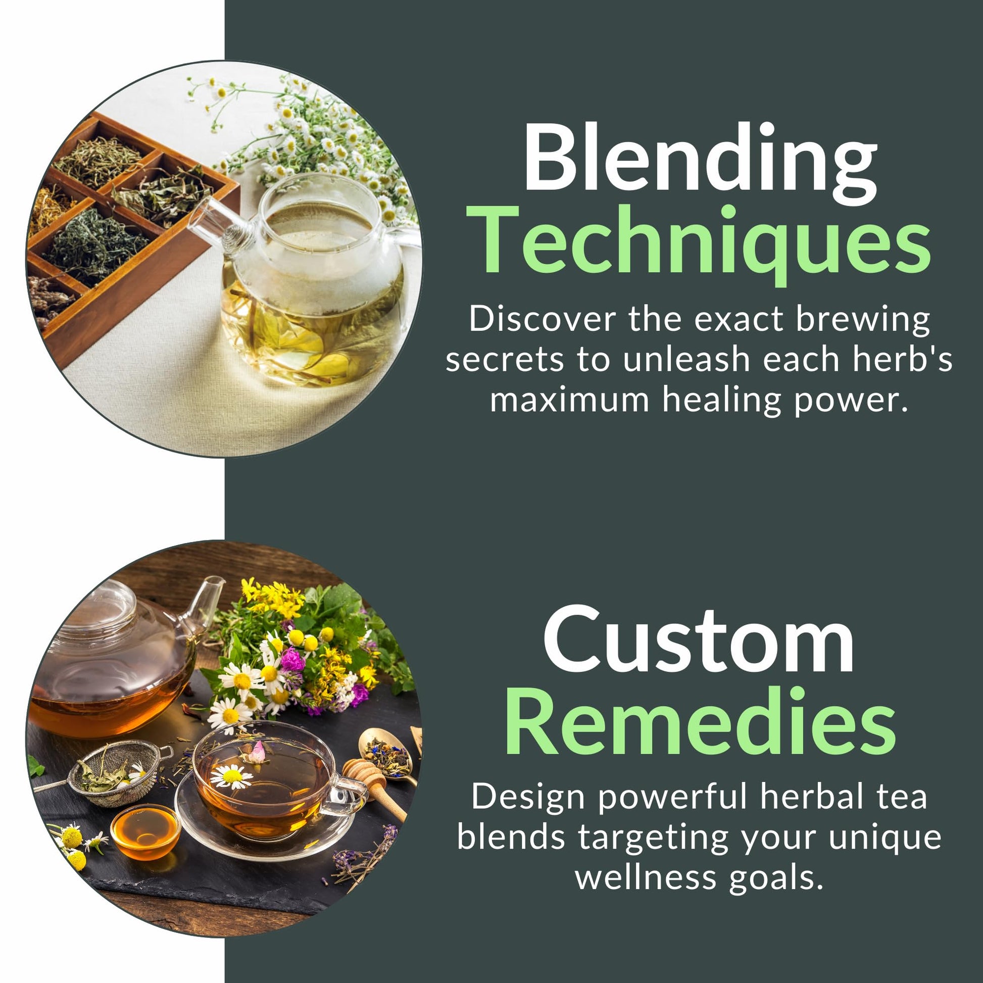 The Healing Herbal Teas Beginners' Guide [All-in-1]: Everything on How to Brew, Enjoy, & Benefit from Therapeutic Brews. Featuring 100 Recipes for Stronger Immunity & Lifelong Vitality