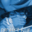 Perfect Blue: Awaken from a Dream (Light Novel) (Perfect Blue (Light Novel))