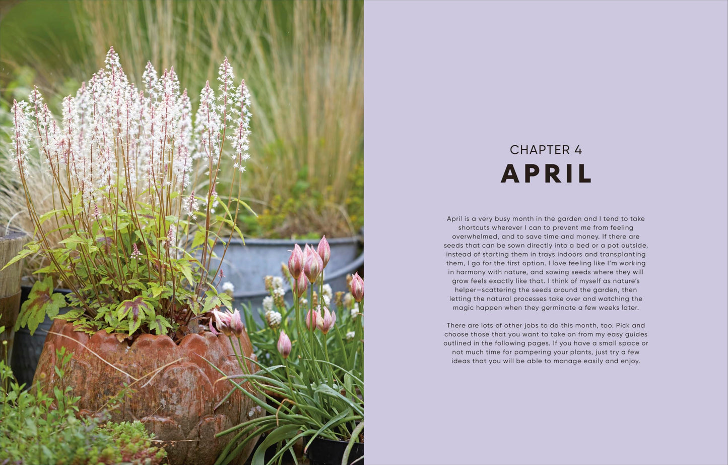 The Money-Saving Garden Year: A Month-by-month Guide to a Great Garden that Costs Less