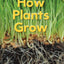 How Plants Grow