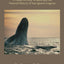 Lagoon Time: A Guide to Grey Whales and the Natural History of San Ignacio Lagoon
