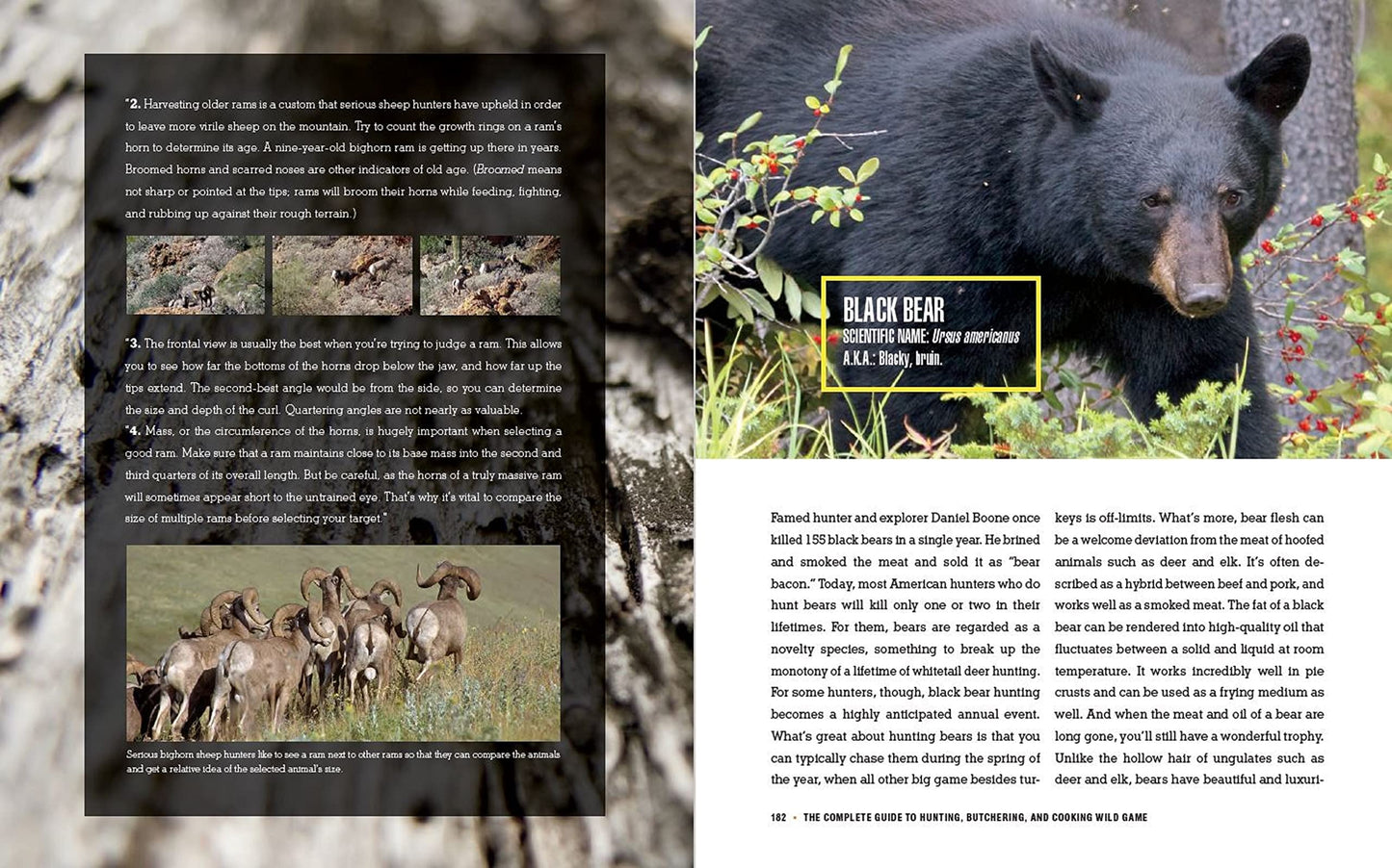 The Complete Guide to Hunting, Butchering, and Cooking Wild
