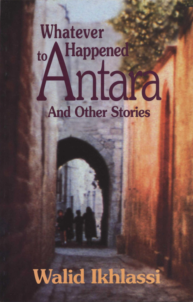Whatever Happened to Antara?: And Other Stories (CMES Modern Middle East Literatures in Translation)