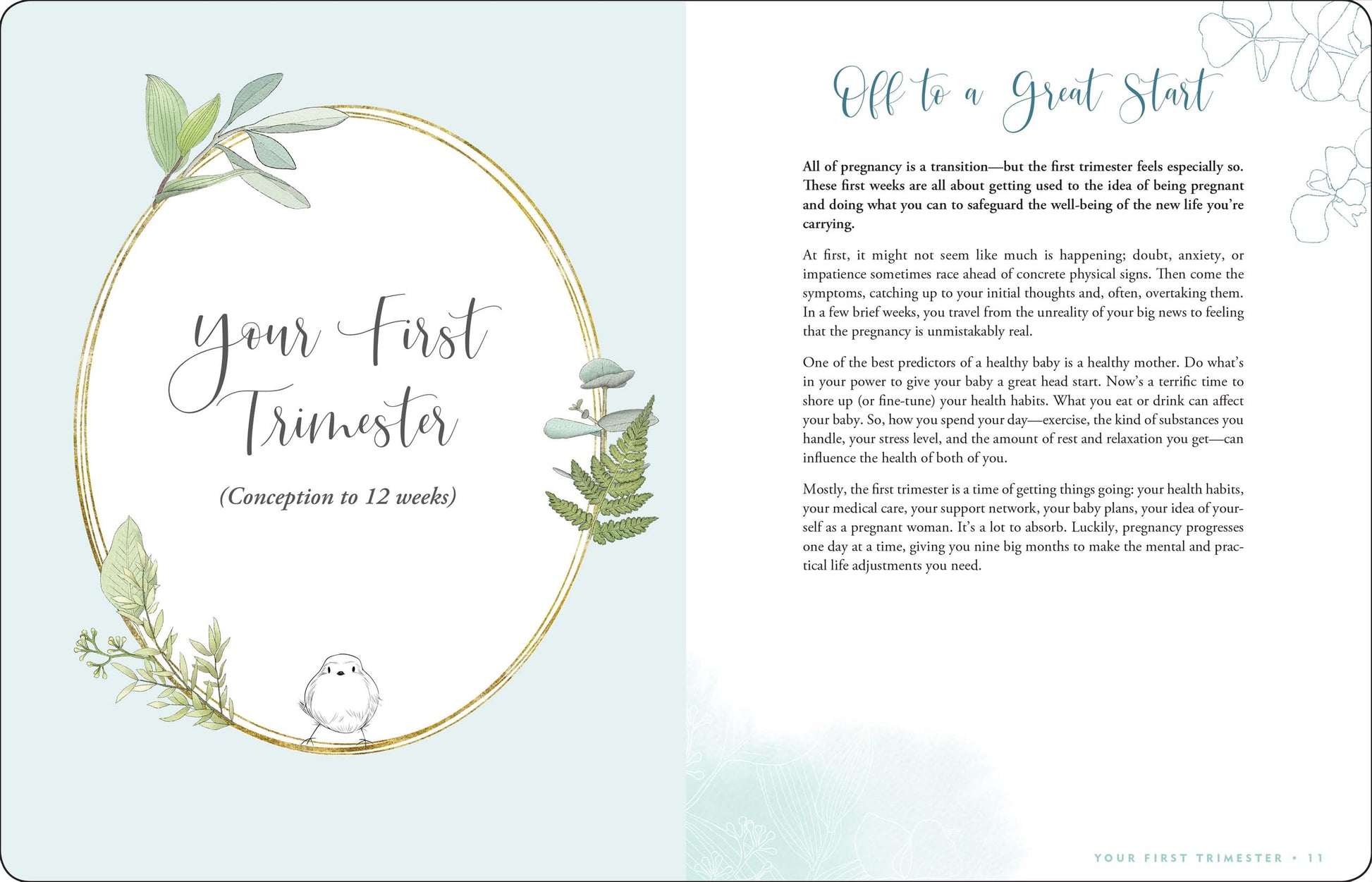 Pregnancy Journal: A Week-By-Week Guide to a Happy, Healthy Pregnancy (Deluxe, Cloth-bound 3rd edition)