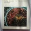 From Quarks to the Cosmos: Tools of Discovery (Scientific American Library)