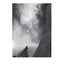 Examples: The Making of 40 Photographs