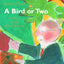A Bird or Two: A Story About Henri Matisse (Incredible Lives for Young Readers (ILYR))
