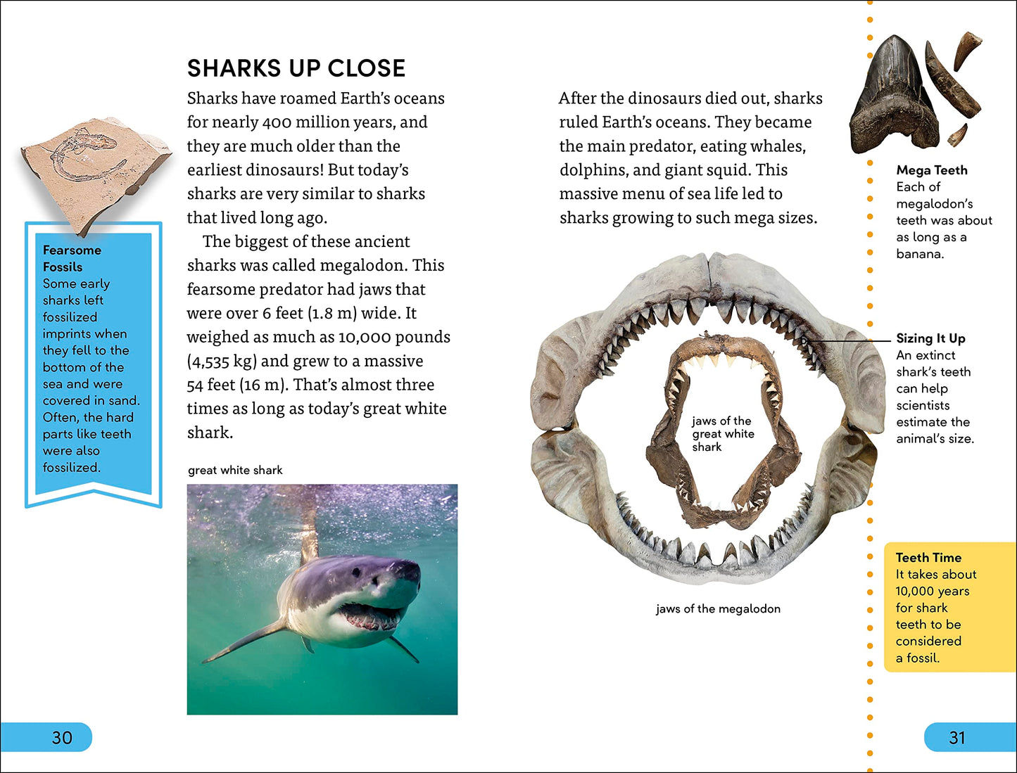 DK Super Readers Level 4 Shark Attack