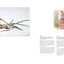 The Art of Beatrix Potter: Sketches, Paintings, and Illustrations