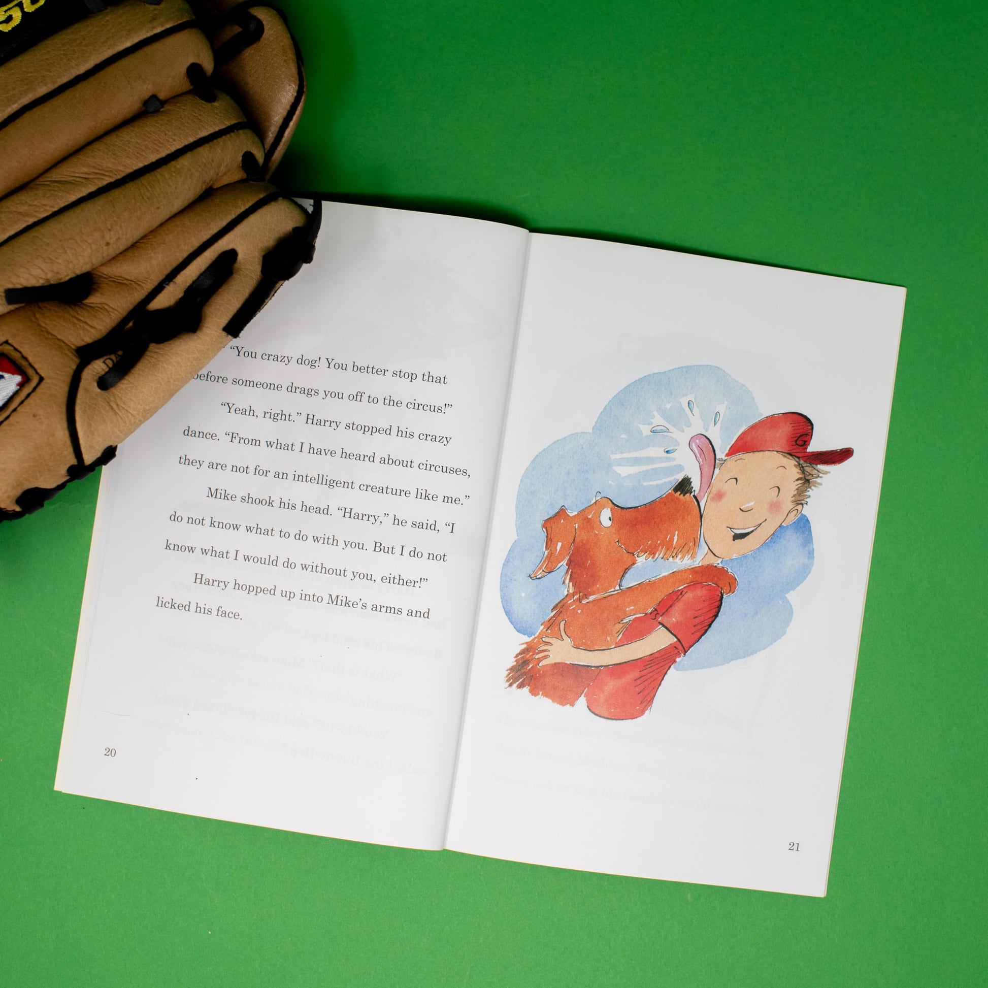 The Dog That Pitched a No-Hitter (Passport to Reading Level 3)