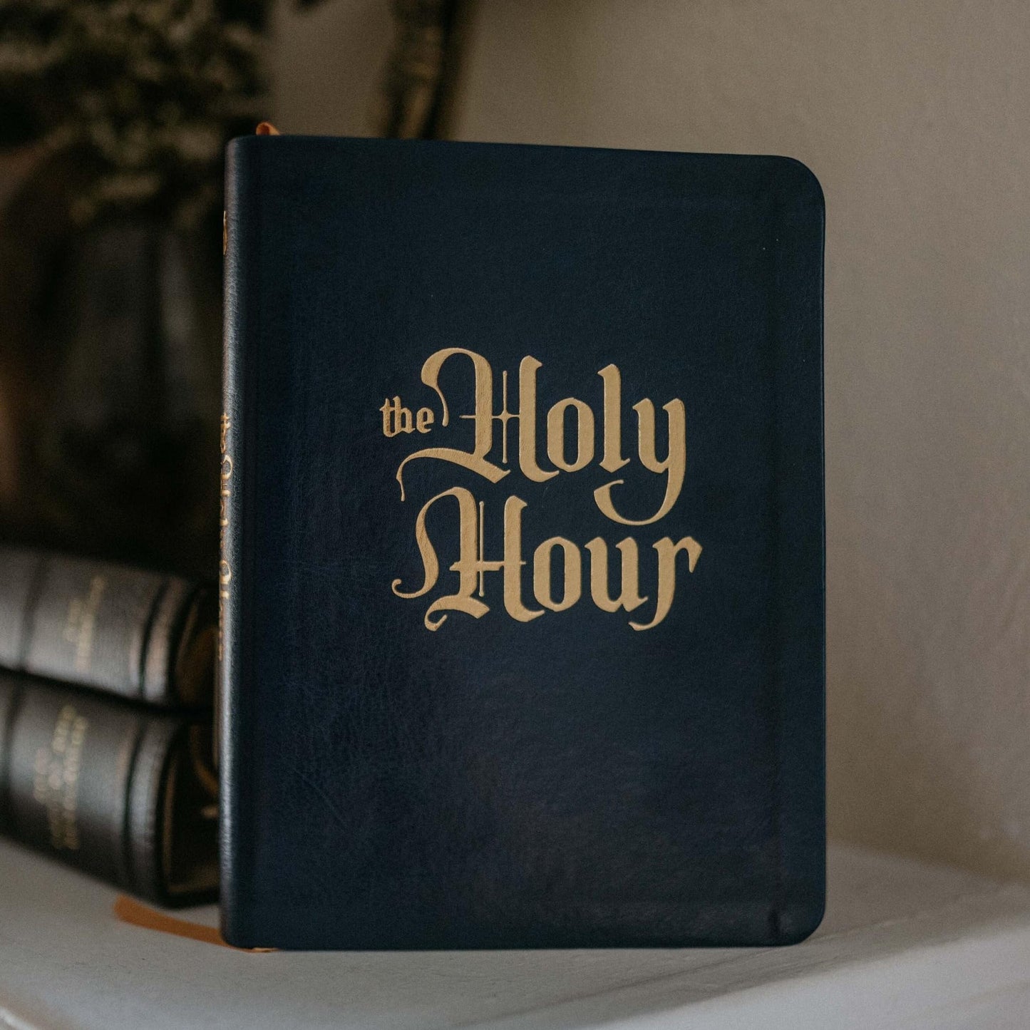 The Holy Hour: Meditations for Eucharistic Adoration by Matt