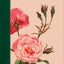 KJV Wide Margin Bible, Filament Enabled (LeatherLike, Pink Rose Garden, Red Letter)