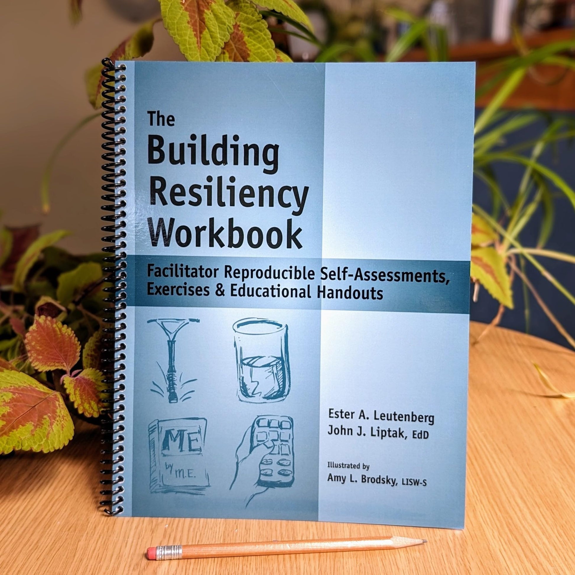The Building Resiliency Workbook - Reproducible Self-Assessments, Exercises & Educational Handouts (Mental Health & Life Skills Workbook Series)