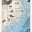National Geographic Shipwrecks of the Outer Banks Wall Map (28 x 36 in) (National Geographic Reference Map)