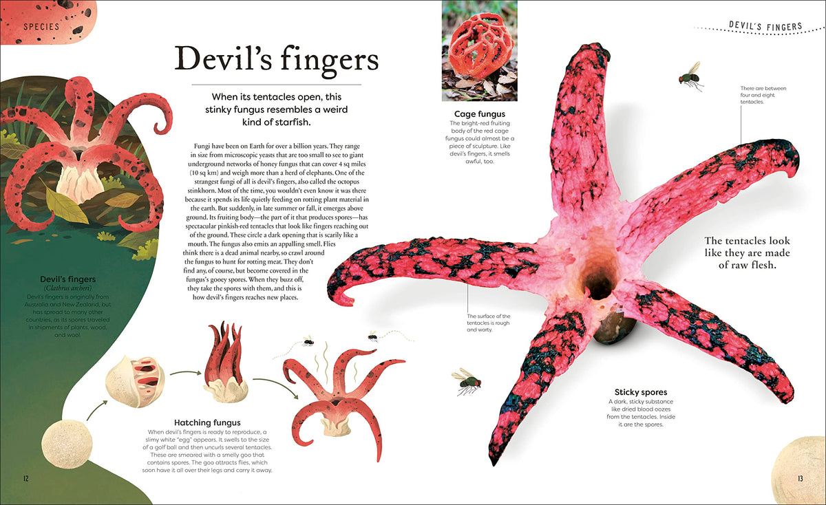 Weird and Wonderful Nature: Tales of More Than 100 Unique Animals, Plants, and Phenomena (DK Treasures)