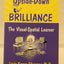 Upside-Down Brilliance: The Visual-Spatial Learner by Silver