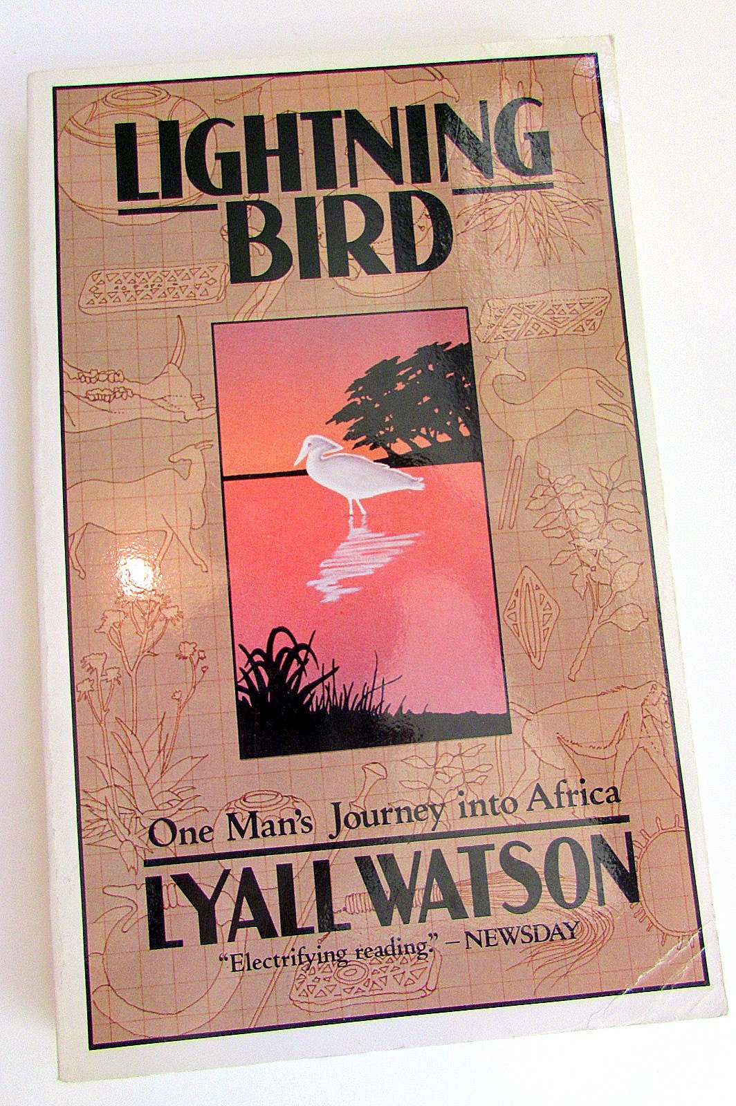 Lightning Bird: The Story of One Man's Journey into Africa's