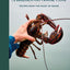 A Kitchen on Goose Cove: Recipes from the Heart of Maine