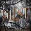 The Plated Prisoner Series 5 Books Collection Set By Raven Kennedy (Gild, Glint, Gleam, Glow, Gold)