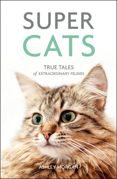Super Cats: True Tales of Extraordinary Felines