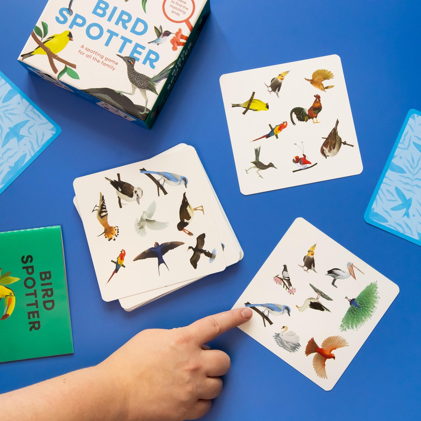 Bird Spotter: Race to be first to find the matching birds - A spotting game for all the family
