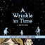 A Wrinkle in Time: The Graphic Novel