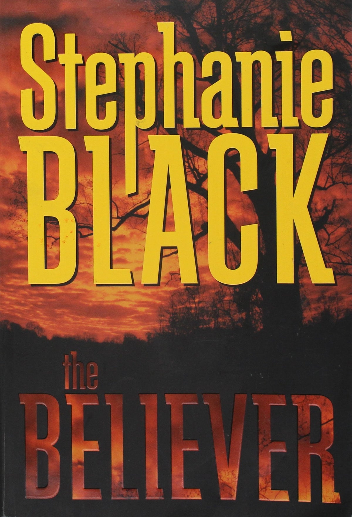The Believer