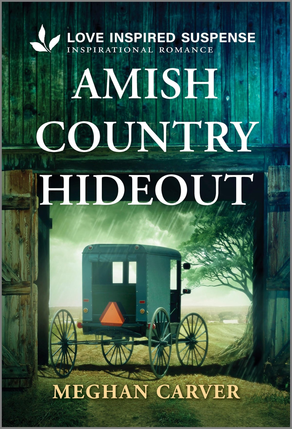 Amish Country Hideout: A Love Inspired Witness Protection Romance (Plain Secrets, 1)
