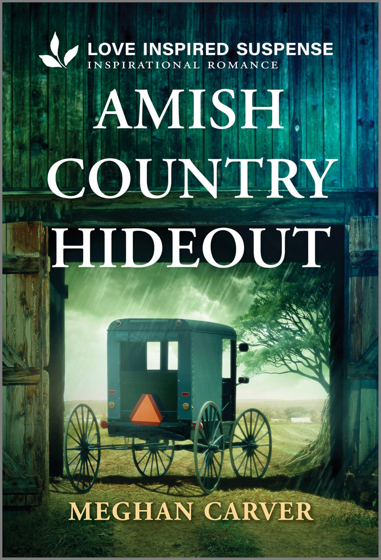 Amish Country Hideout: A Love Inspired Witness Protection Romance (Plain Secrets, 1)