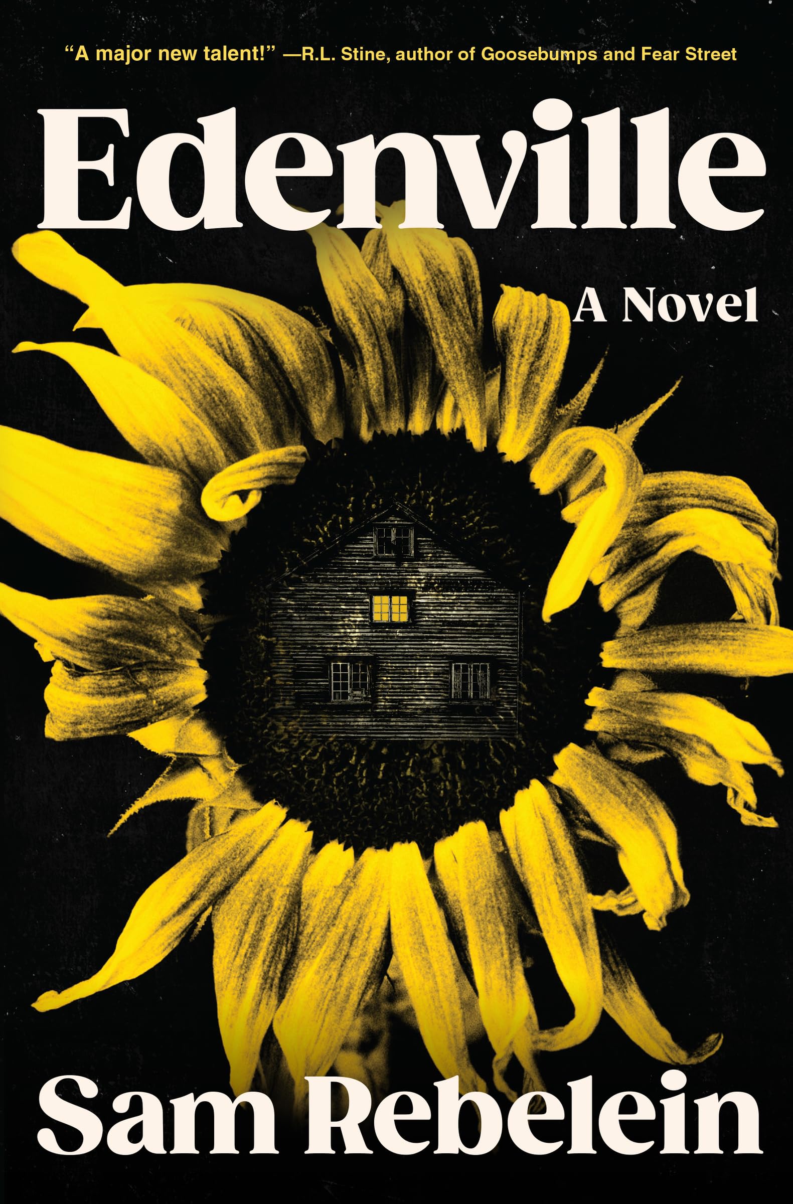 Edenville: A Spine-Tingling Exploration of Small-Town Secrets and Ambition, Ideal for Fall 2024, Enter a World Where Darkness Lurks Just Beneath the Surface