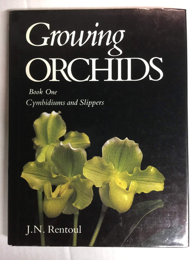 Growing Orchids: Cymbidiums and Slippers