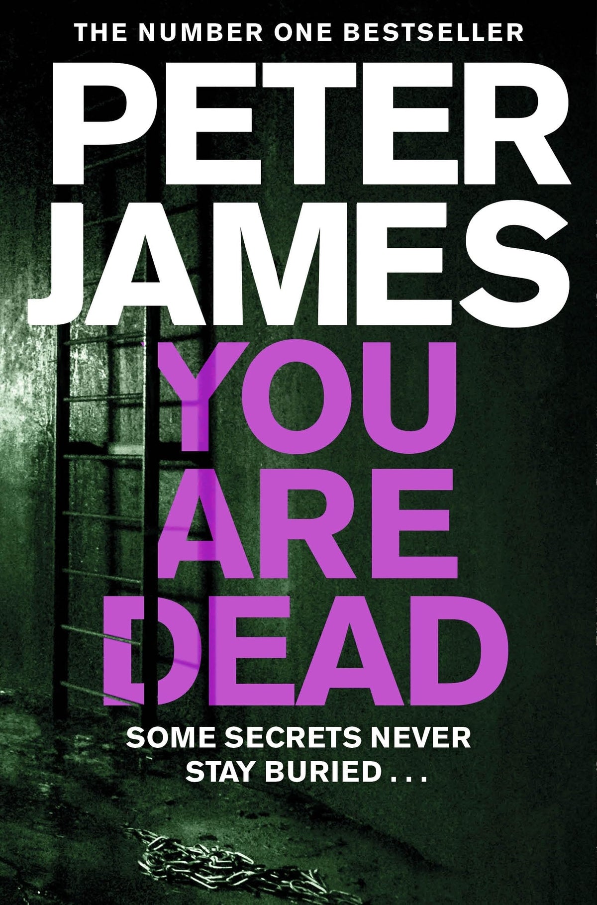 You Are Dead (Detective Superintendent Roy Grace, 11)