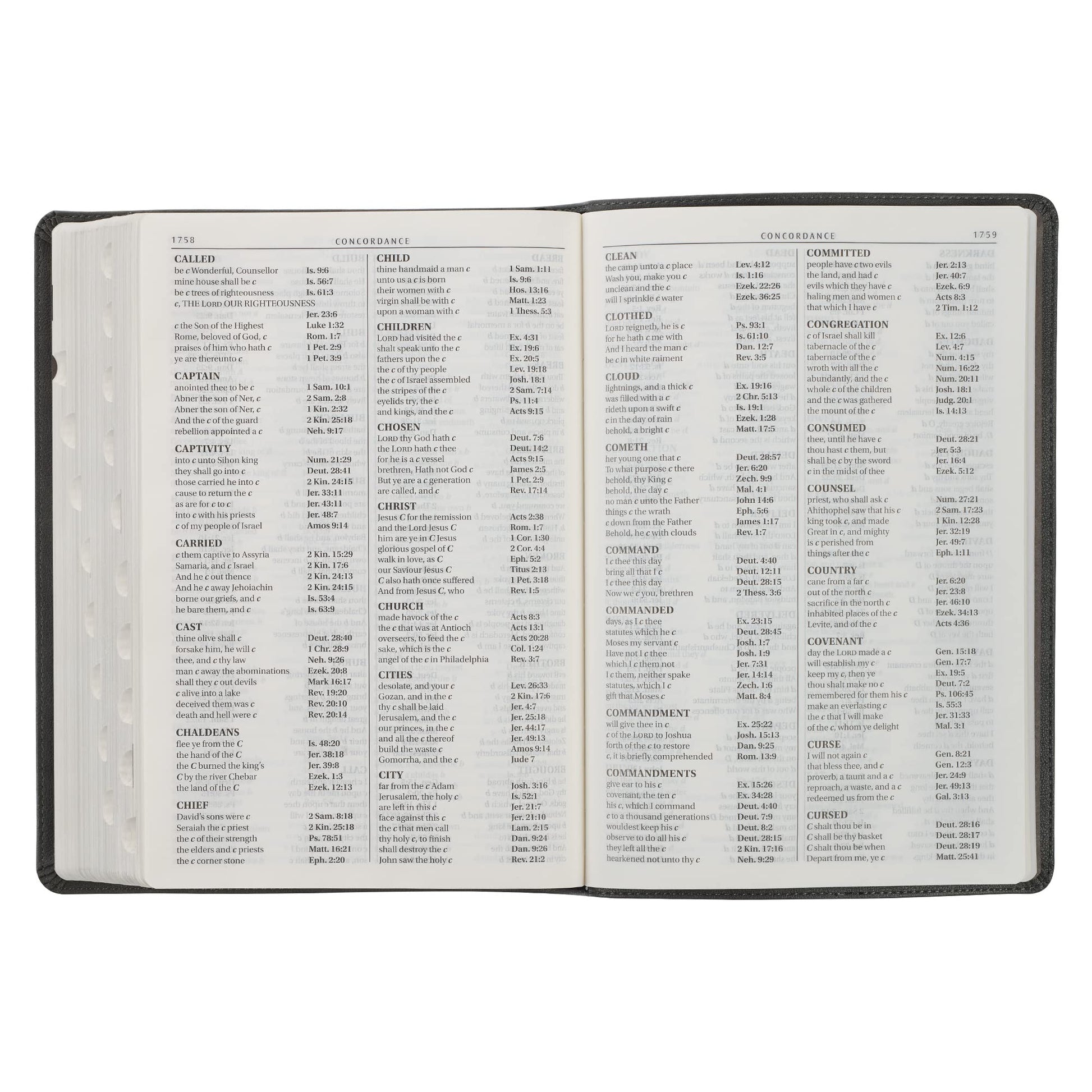KJV Holy Bible, Super Giant Print Faux Leather Red Letter Edition - Thumb Index & Ribbon Marker, King James Version, Gray/Black (KJV Super Giant Print Editions)
