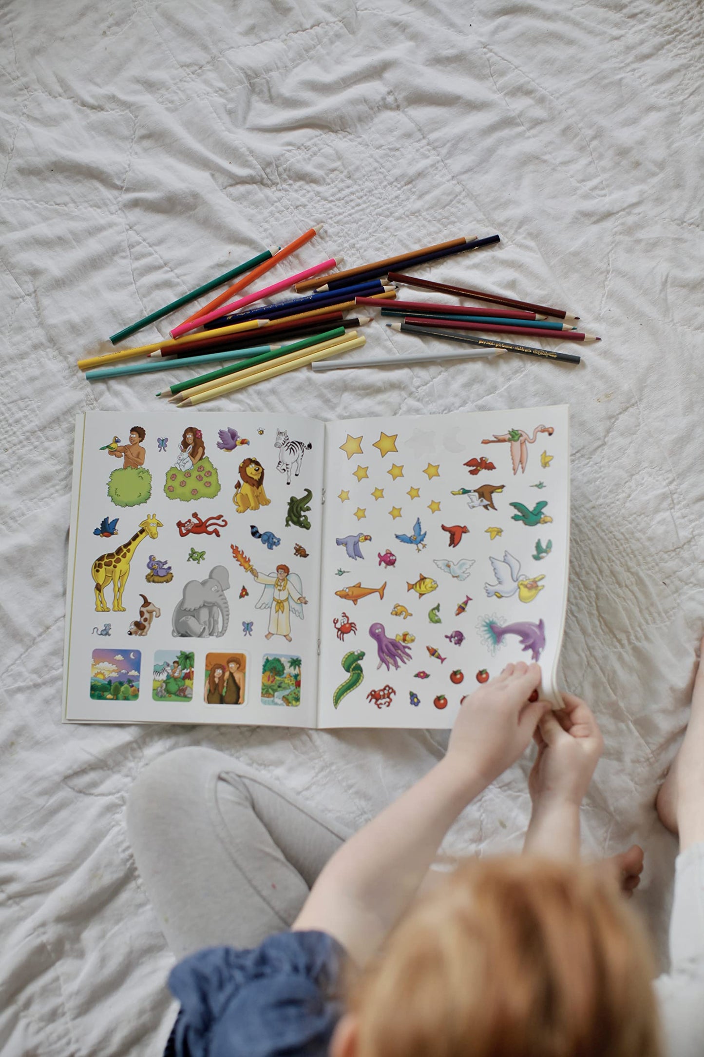 The Beginner's Bible Wild About Creation Sticker and Activity Book
