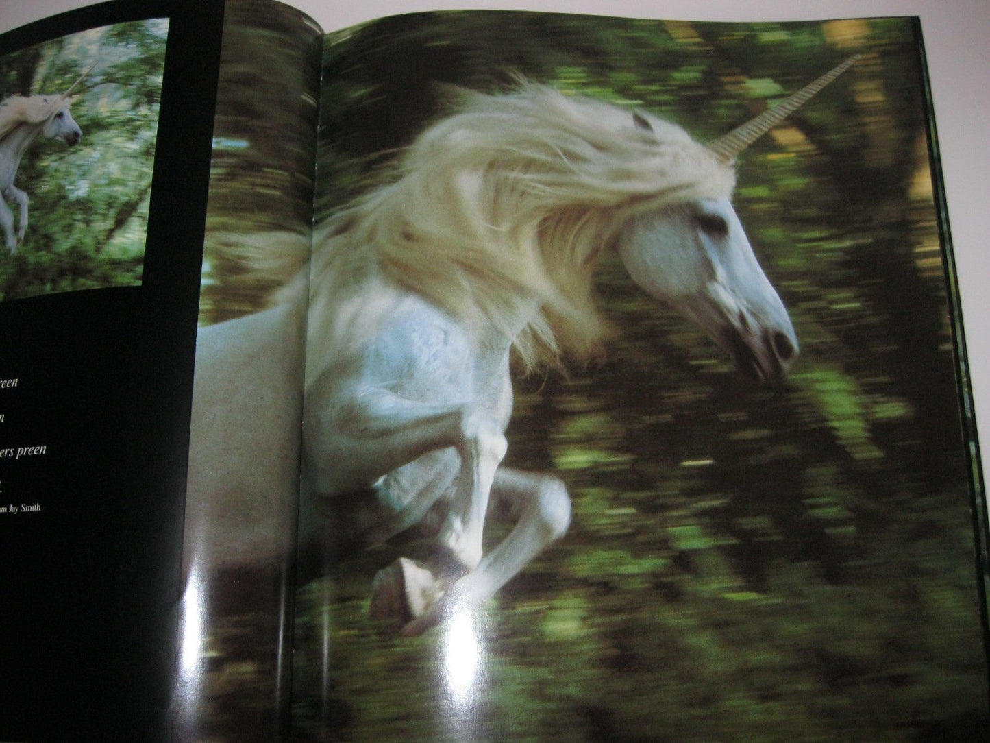 Unicorns I Have Known by Vavra, Robert