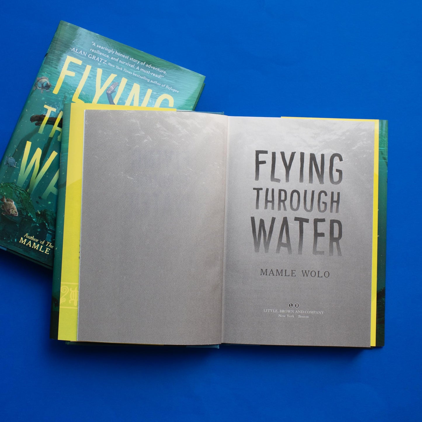 Flying Through Water