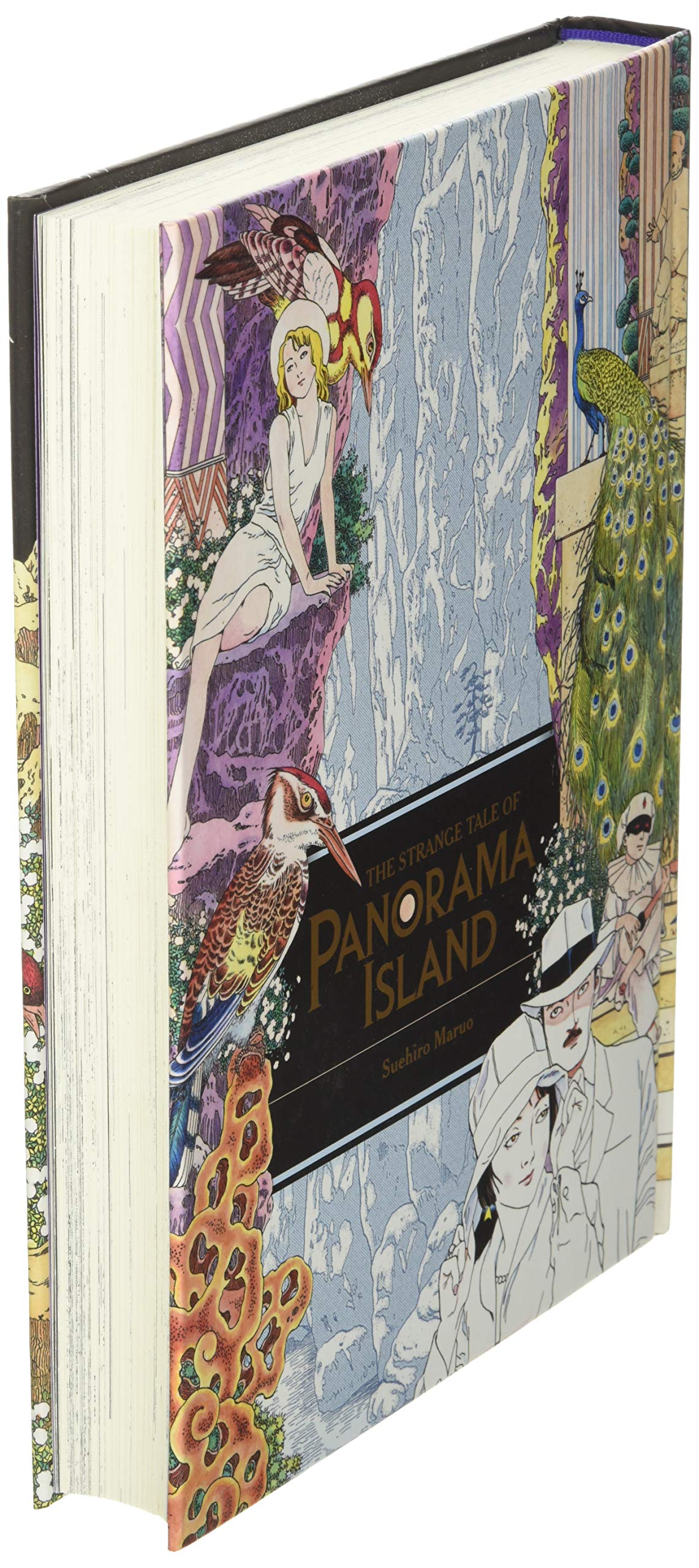 The Strange Tale of Panorama Island