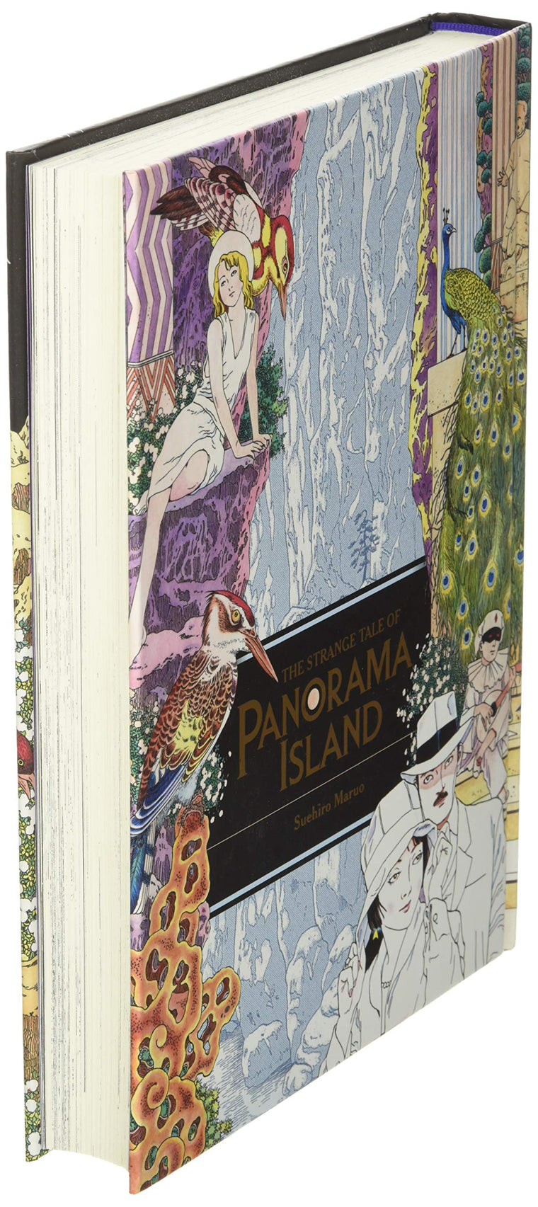 The Strange Tale of Panorama Island — back cover