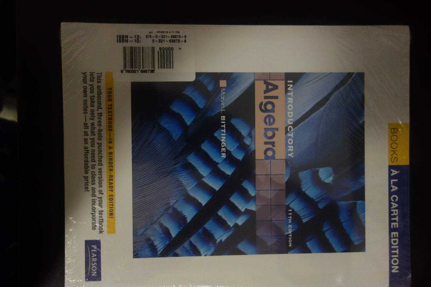 Introductory Algebra (The Bittinger Worktext Series)