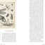 Innumerable Insects: The Story of the Most Diverse and Myriad Animals on Earth (Natural Histories)