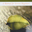 Mindfulness With Breathing : A Manual for Serious Beginners